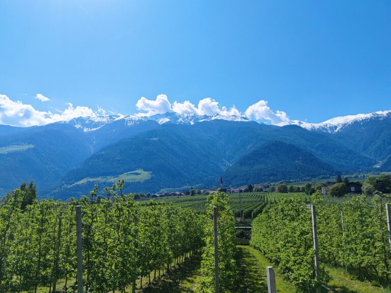 Vinschgau dolina